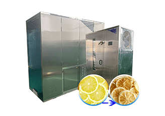Lemon dryer machine